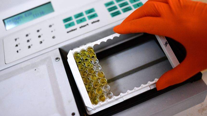    Фото: © РИА Новости/Павел Лисицын