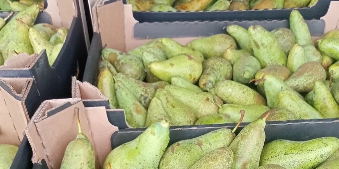 В Смоленскую область пытались провезти санкционные груши