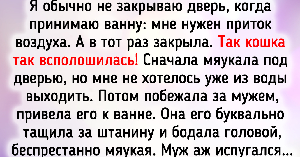 13 душевных историй о питомцах, которые и смекалку могут проявить, и поддержать