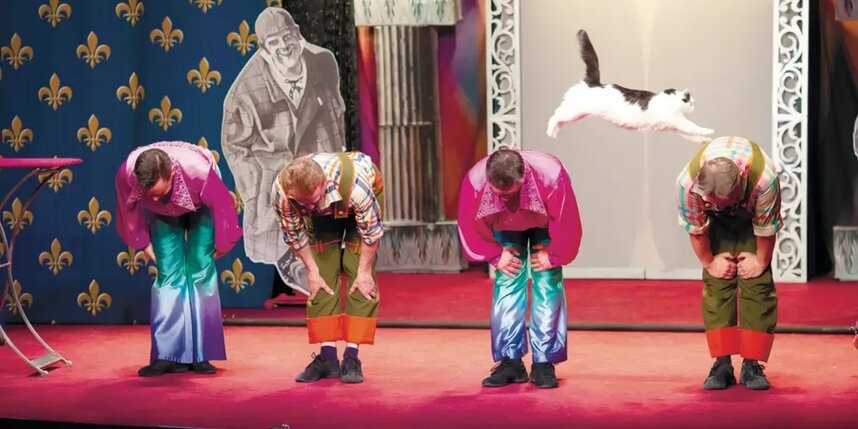    Кошкам поклонялись египтяне – и мы понимаем почемуОльга Карасёва