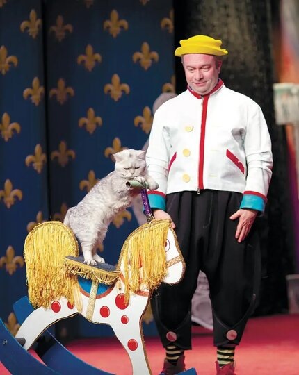    А кошка-то на коне! В прямом и переносном смыслеОльга Карасёва