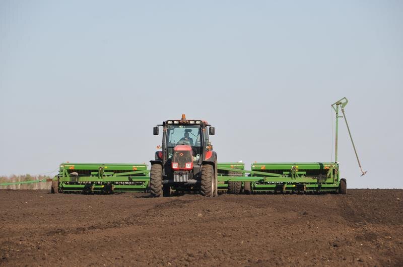 Фото: Алексей Кунилов, фотоархив «Областной газеты»
