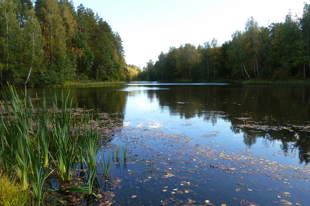 Фото: ИА "Регион71"