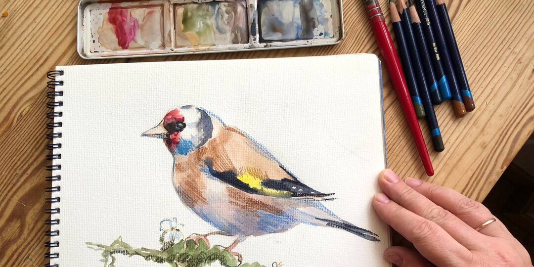 Рисуем щегла акварелью и цветными карандашами