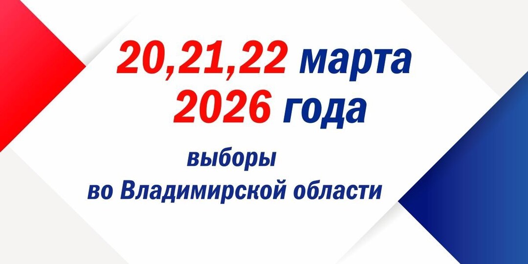 Во Владимирской области стартовала избирательная кампания, явка на 20 марта до 6%