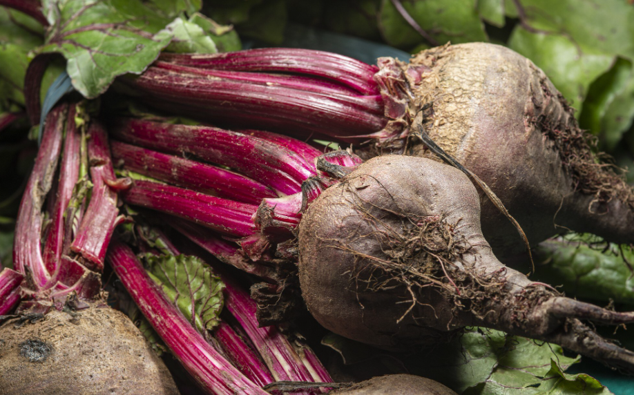 Фото freepik.com