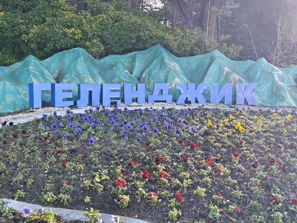    Фото: Юрий Серебренников/BFM Кубань