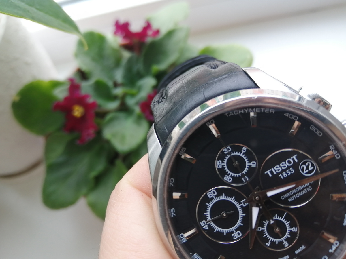 Фотографии автора 