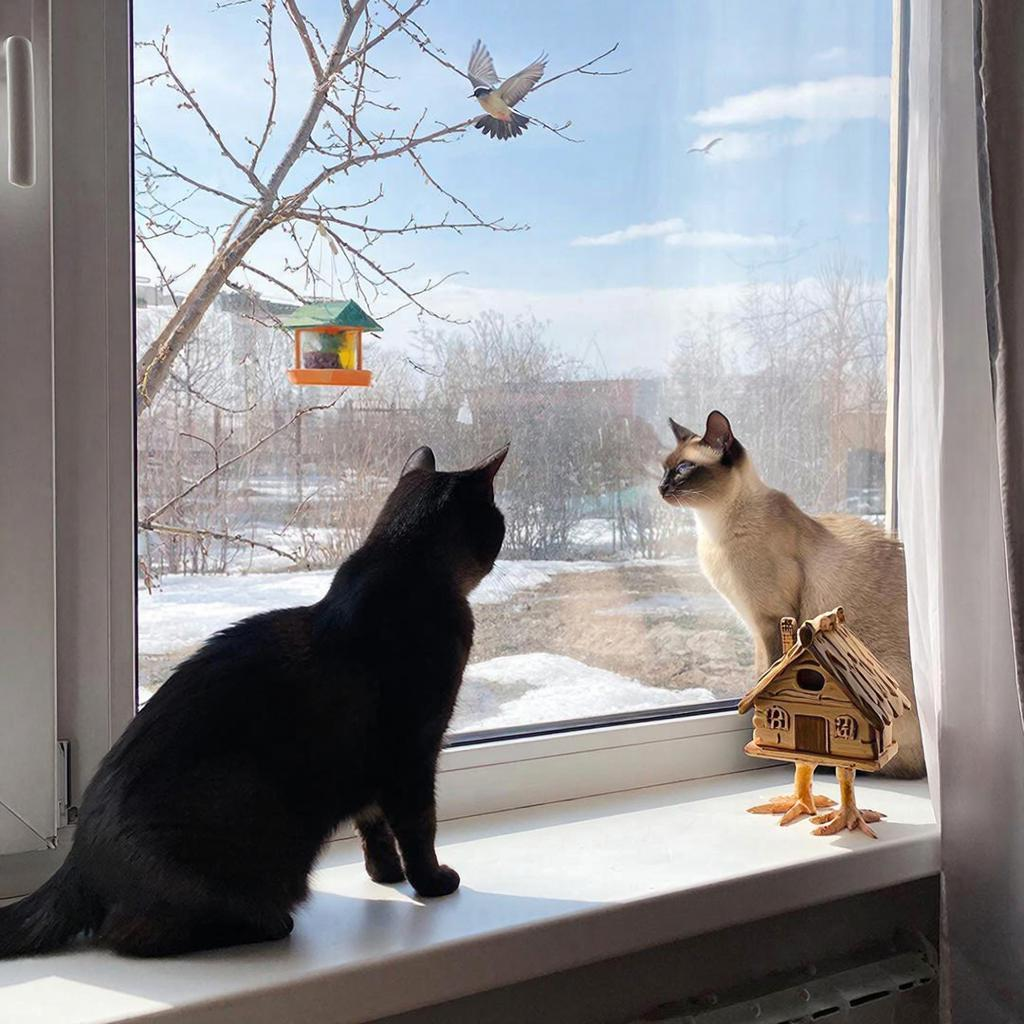 Картинка создана с помощью ии 