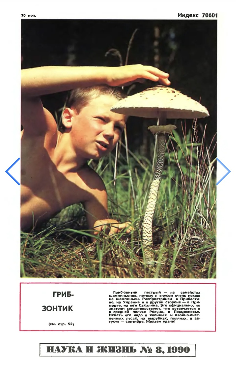 Та самая единственная фотография на обороте журнала