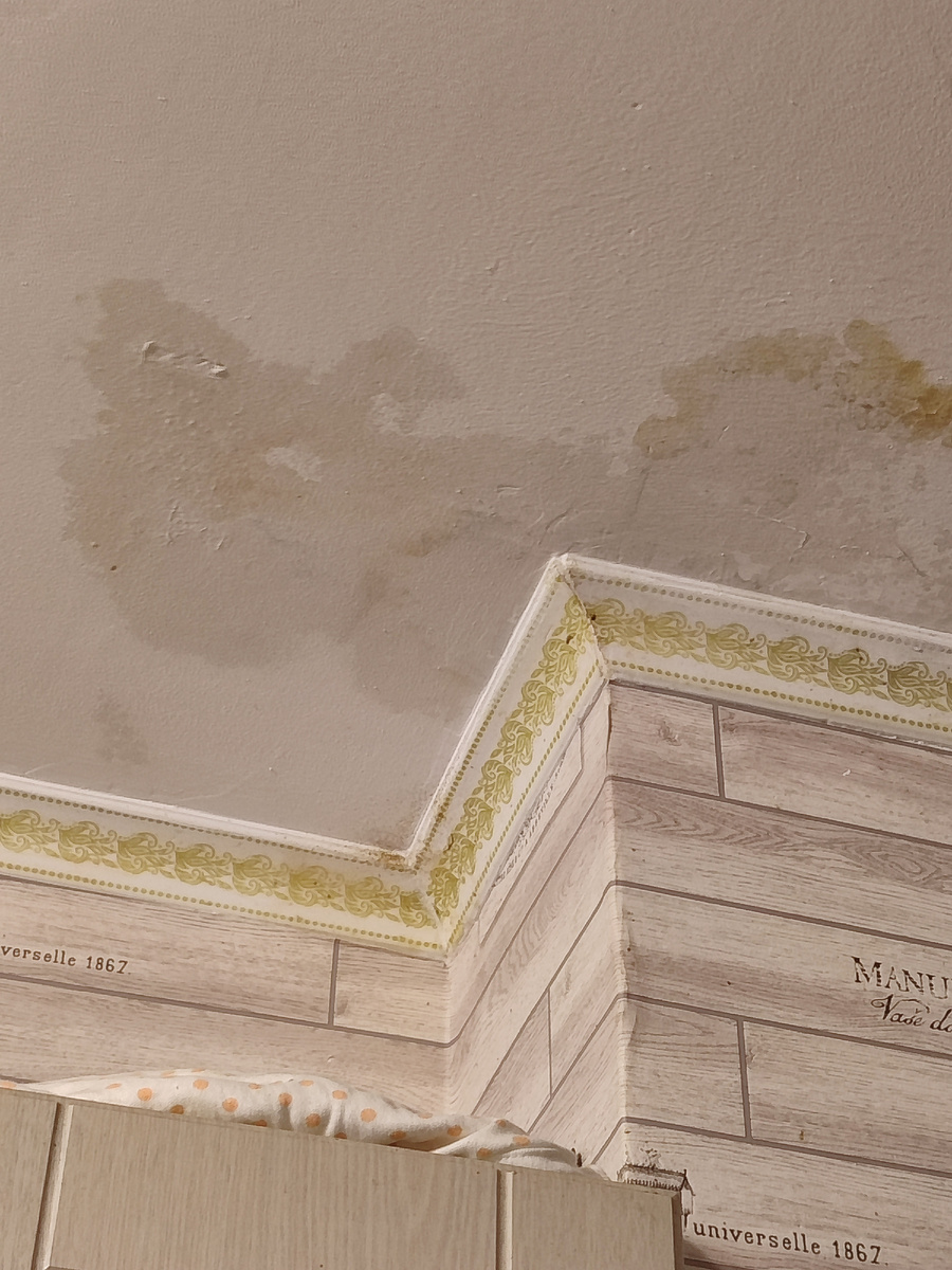 Мокрое пятно на потолке. Сфоткала, чтоб Вы не думали, что я сочиняю🤦