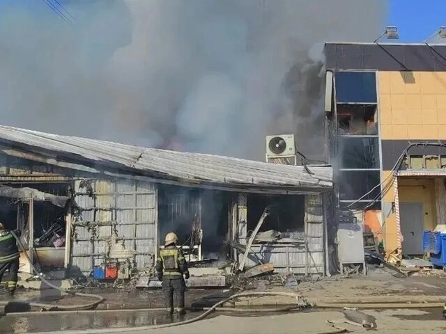    Фото: MAX/"МЧС Московской области"