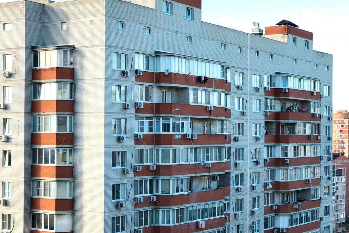    Фото «Кубань 24»