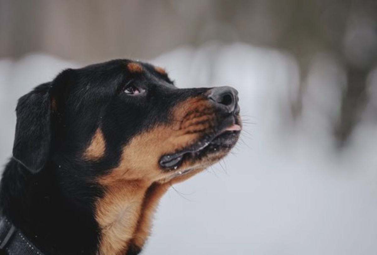 Пусть мои мечты исполнятся!