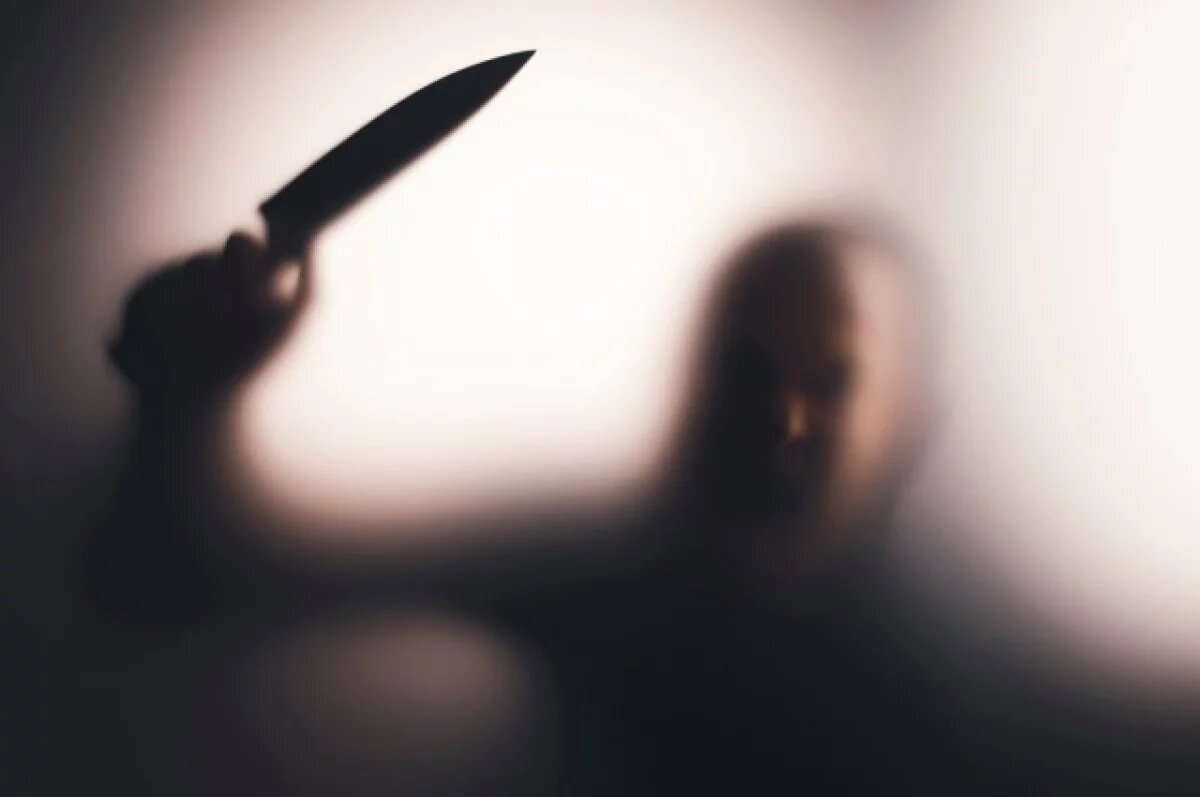    Психолог Ланг объяснил, почему школьник из Петербурга расчленил подростка