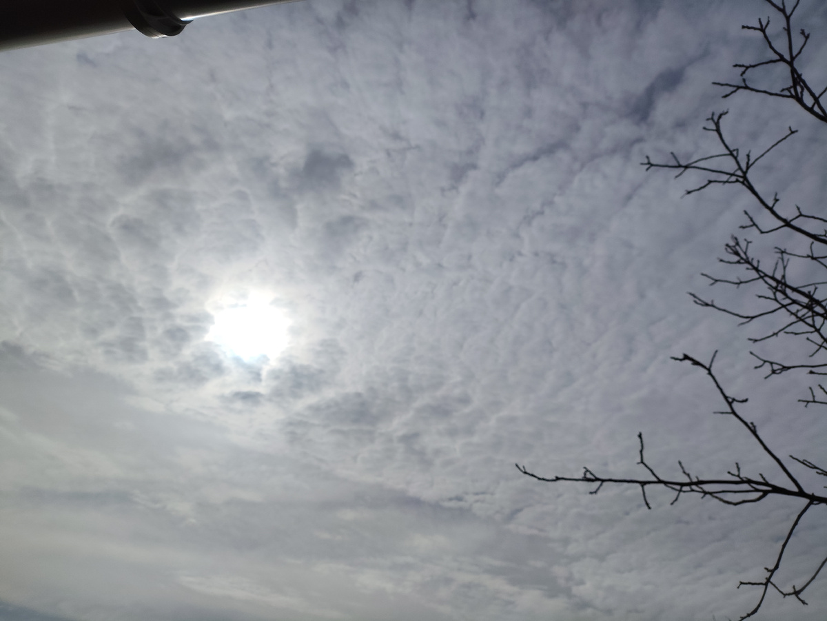 Это еще до полудня так было. Потом совсем посерело...