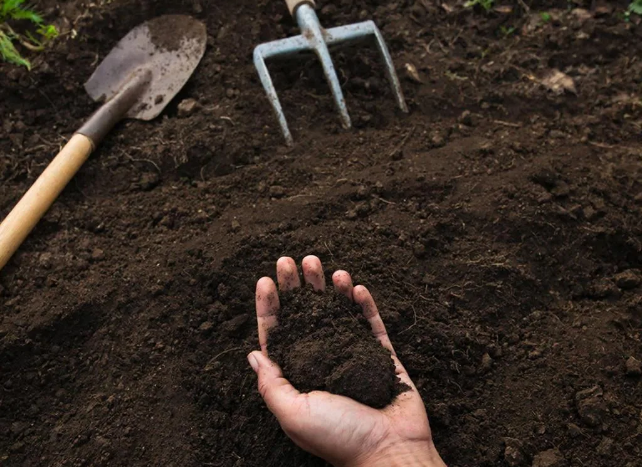 Глина в чернозем за сезон: мой метод, который взбесил соседа