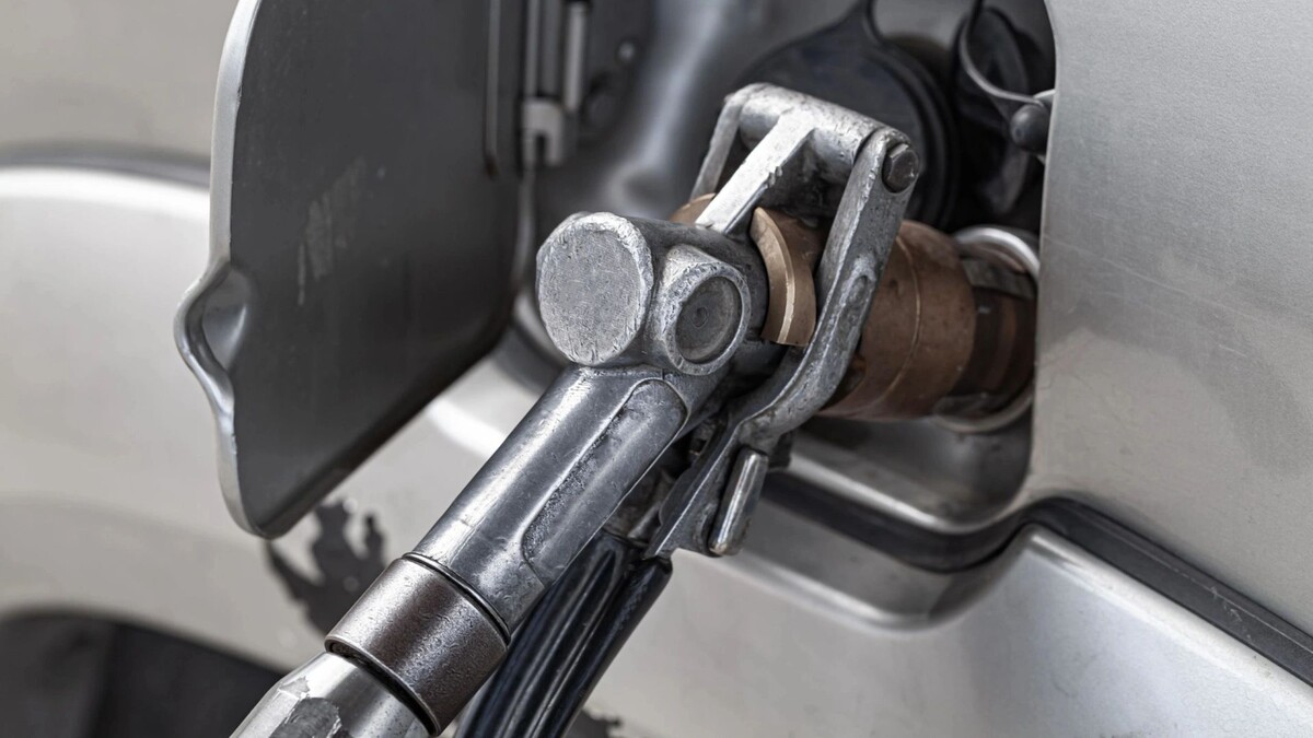    Фото: Evannovostro/Shutterstock/Fotodom