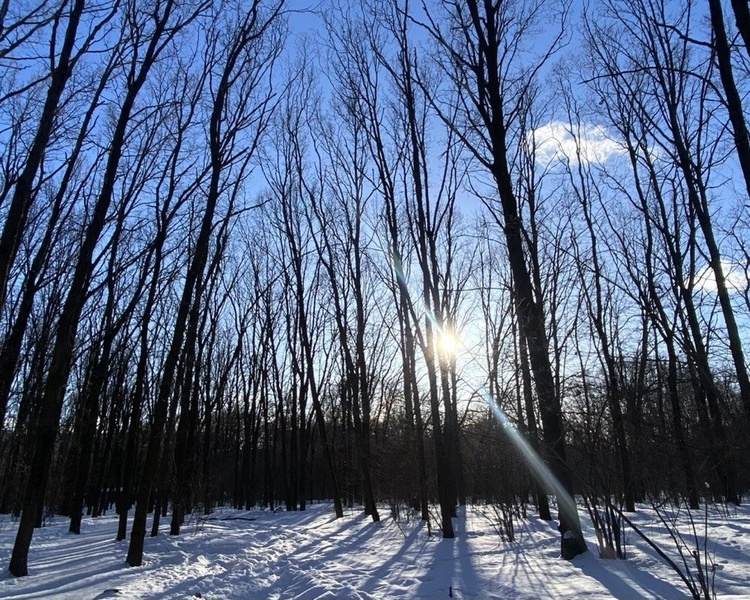     В Курске 20 марта отмечают День весеннего равноденствия
