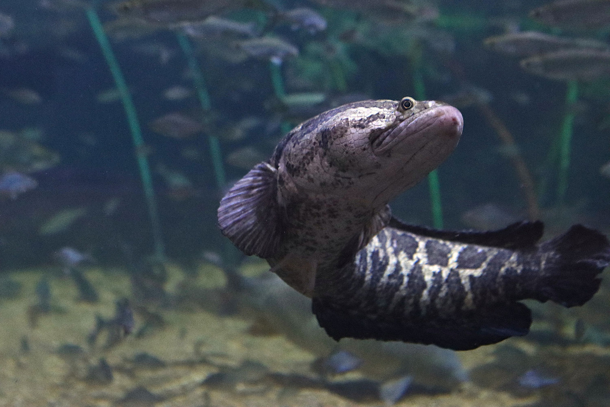 (фото из открытых источников)