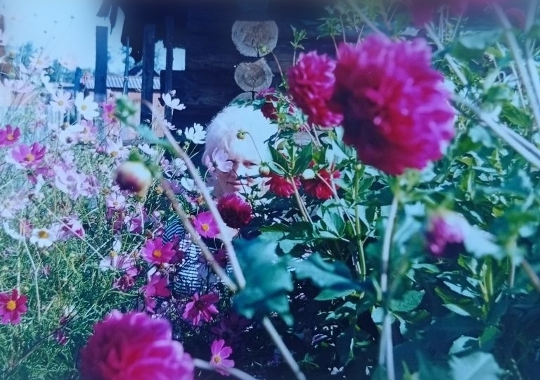 Чем обработать капусту от блошки и гусениц без химии: 3 проверенных народных способа