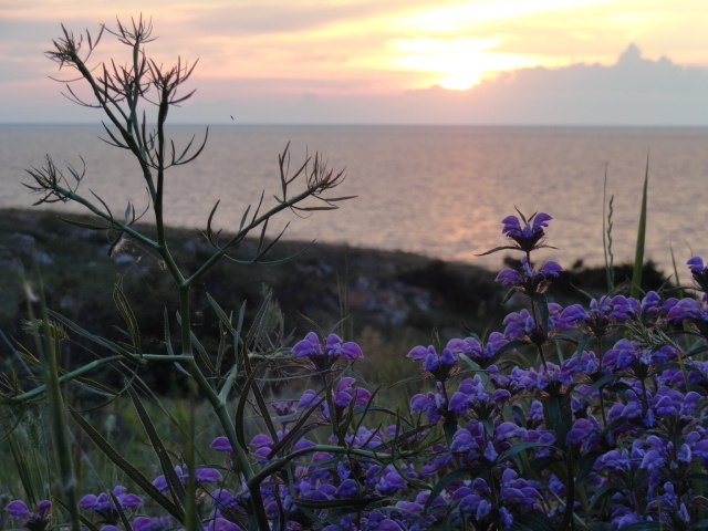  мыс Казантип, примерно 2012г, закат у моря