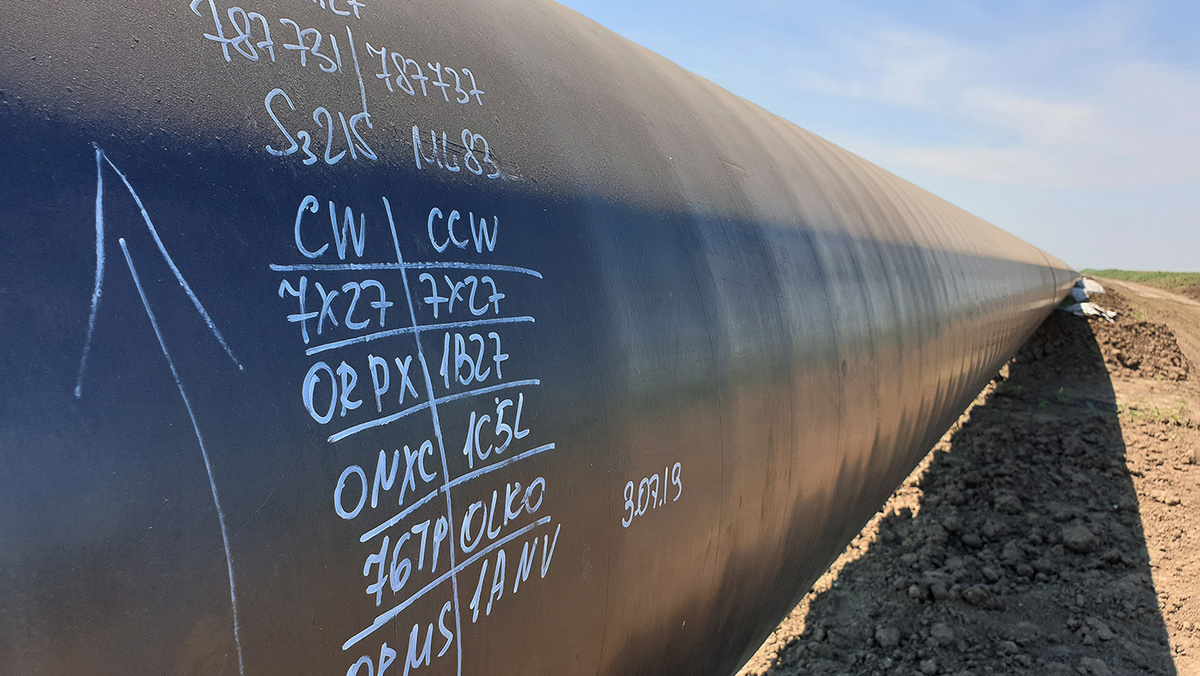   Павел Бушуев / ТАСС