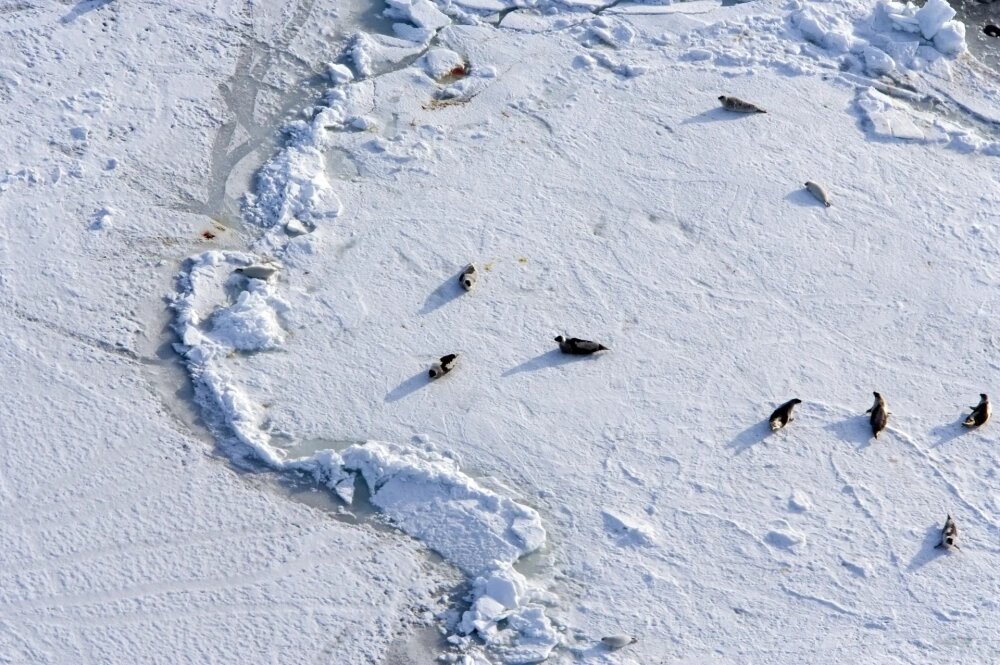    Фото: www.globallookpress.com