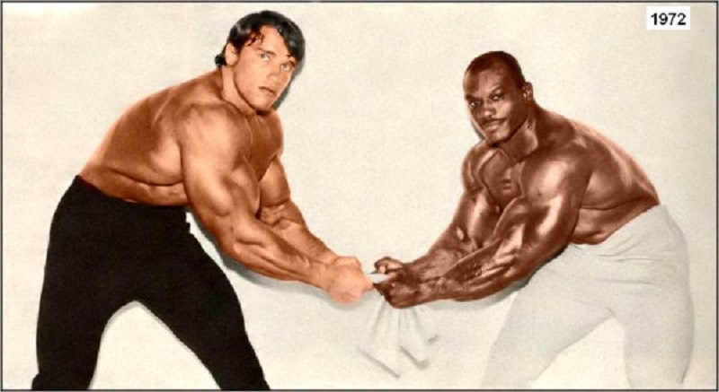 Арни и Олива. Последний любил огромные объемы, с очень редкими высокоинтенсивными тренировками.