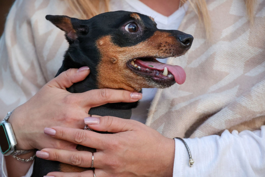    Алексей Белкин/NEWS.ru