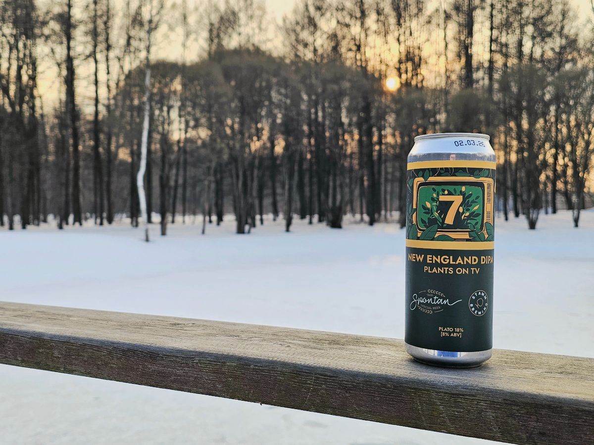 Plants on TV, фото автора