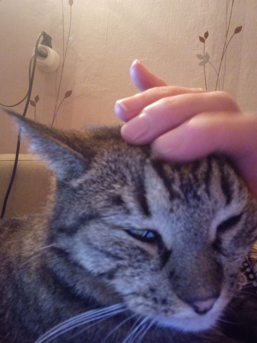 Я пришёл! Долой компьютер!