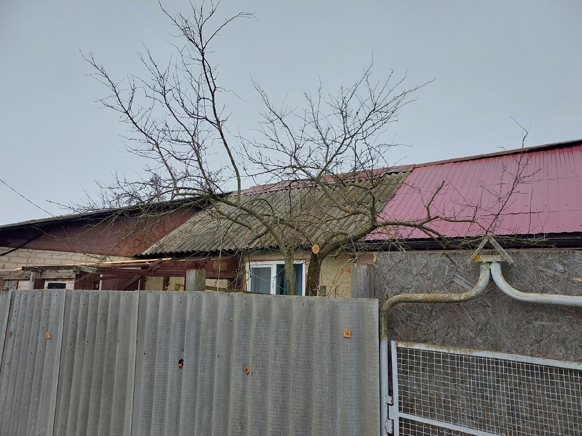 Начало обрезки отпилил самый толстый сук половину прелый он был