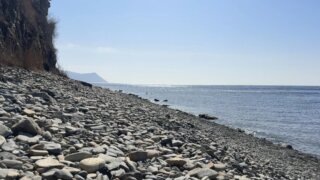    Пресс-служба администрации Краснодарского края Юлия Виноградова