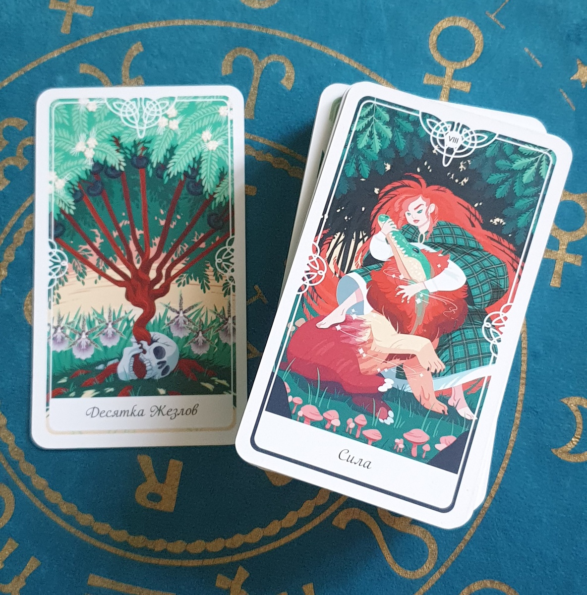 Точка сейчас и обратная сторона колоды