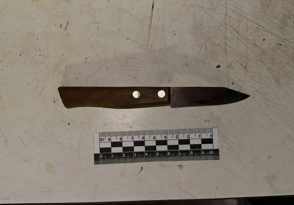    Фото: СУ СК по Ростовской области