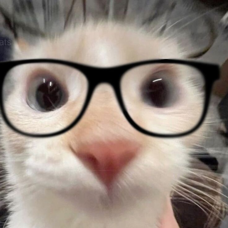 Яндекс картинки