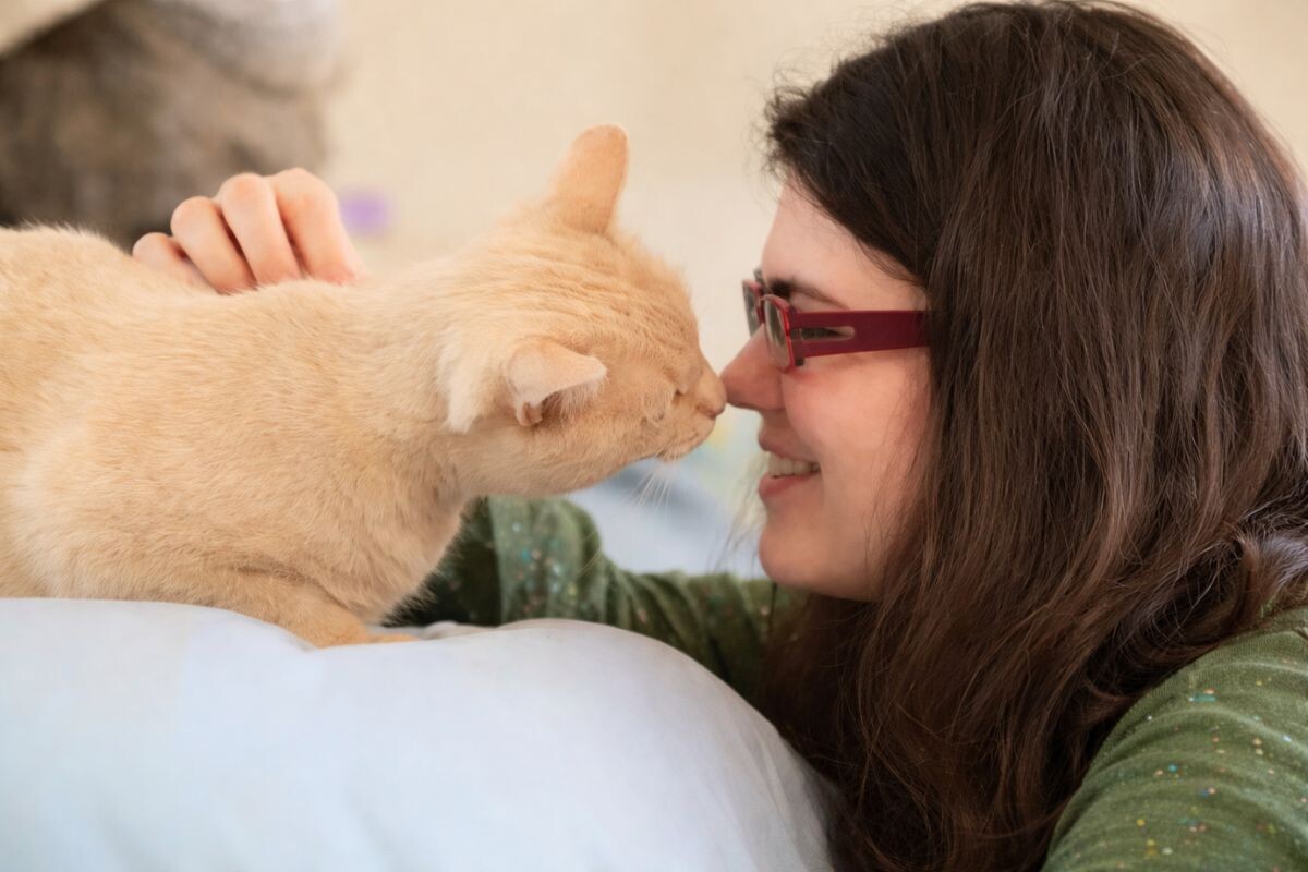 Кошка касается носом носа хозяйки