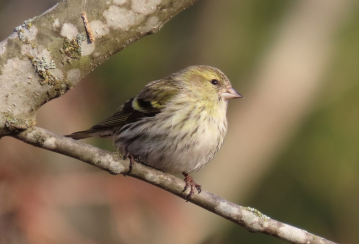 фото: https://vk.com/wall-99022655_24960