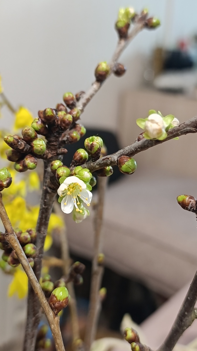 Всё живое хочет жить