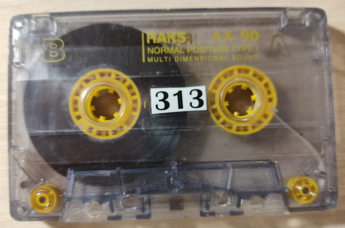 Кассета № 313