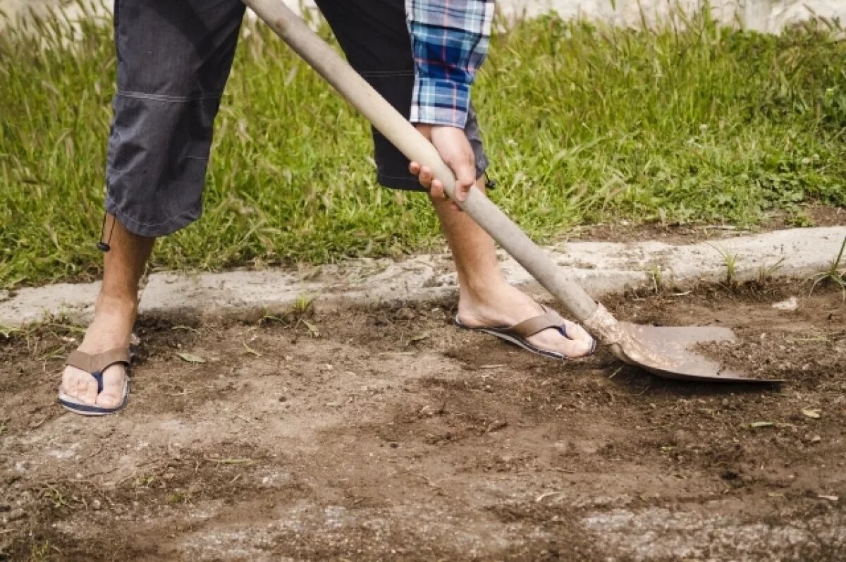    На Ставрополье волонтёры спасли от рабства жительницу Ростовской области
