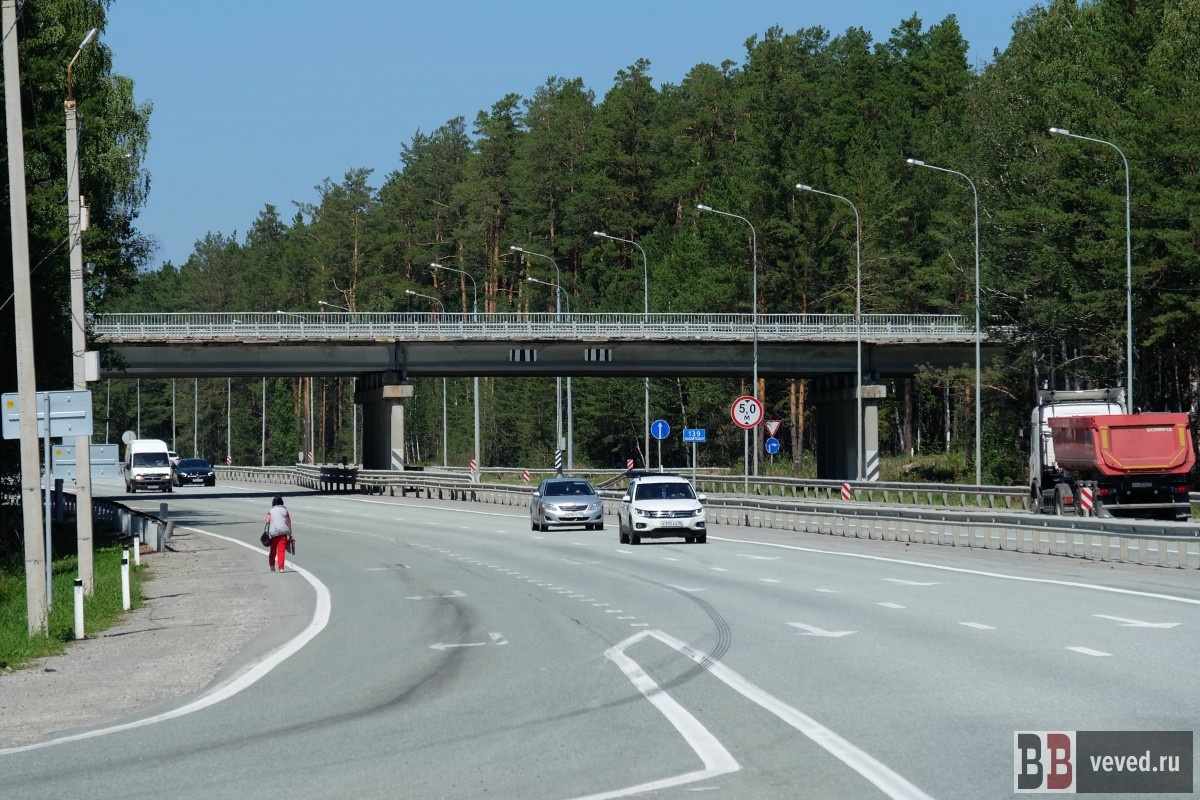     Фото: Владислав Постников / Вечерние Ведомости