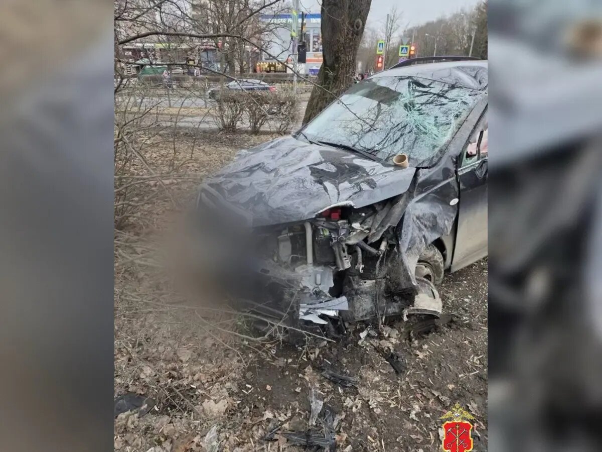    Фото: пресс-служба ГУ МВД России по Петербургу и Ленобласти