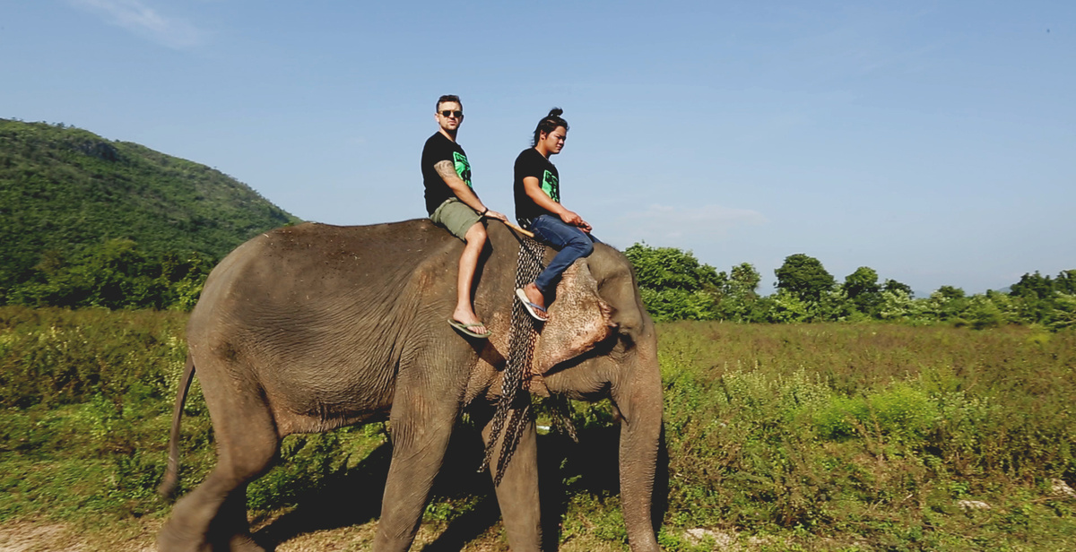    Про животных и людей 1 Тайланд Таиланд слон туристы