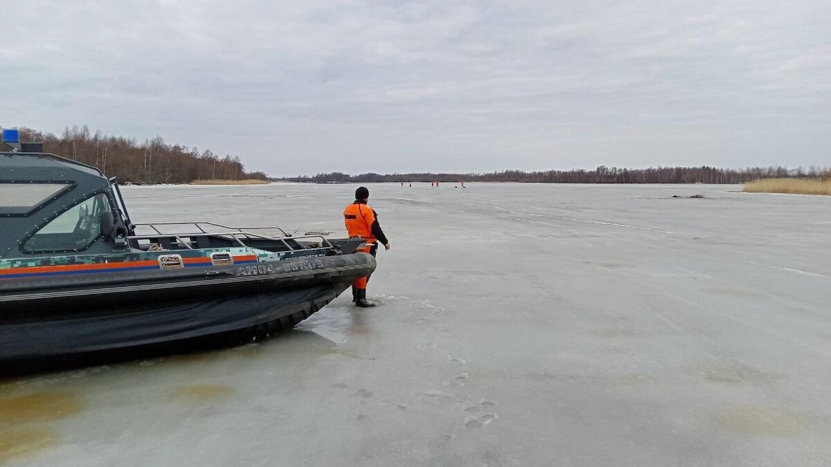    Фото: vk.com/acclo