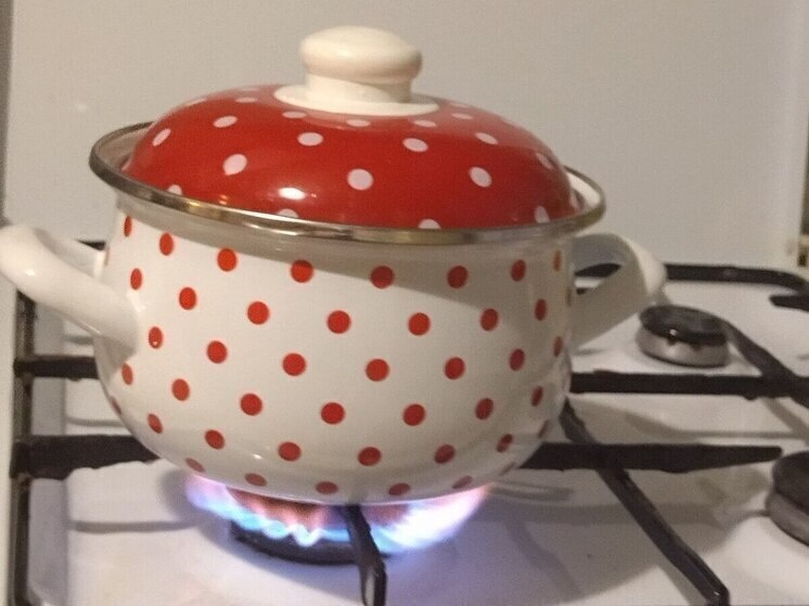     Специалисты создали техническую возможность подключения к газу 53 домовладений населенного пункта. Фото: Архив МК в Великом Новгороде