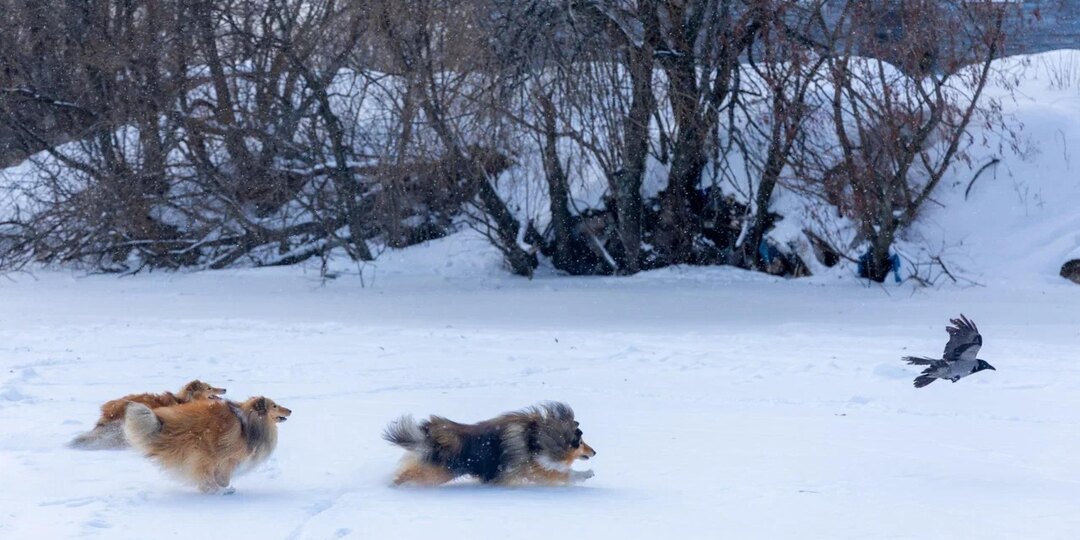 День сравнялся с ночью 20 марта