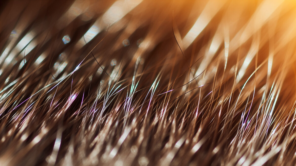    Фото - slanews.ru Елена Нижегородцева