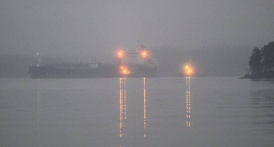    IMAGO/Vesa Moilanen / www.globallookpress.com